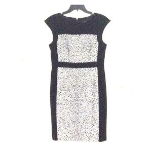 Perfect dress for any occasion